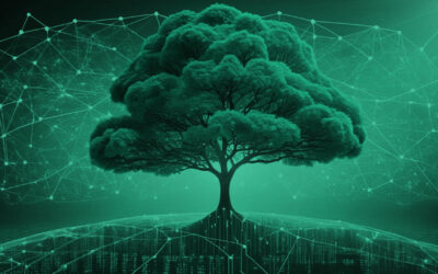 WHY SUSTAINABILITY STRATEGIES MUST FLOW FROM THE TOP DOWN