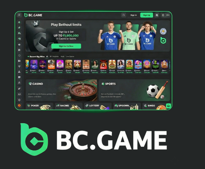 Experience Online Gaming at BC.Game Estonia Experience Online Gaming at BC.Game Estonia